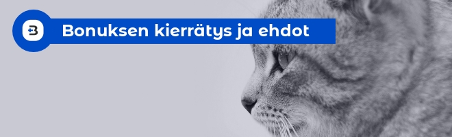 Bonuksen kierrätys ja ehdot täytyy lukea aina tarkasti.