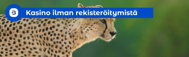 kasino ilman rekisteröitymistä eli pikakasino