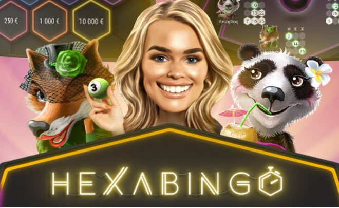 HexaBingo logo