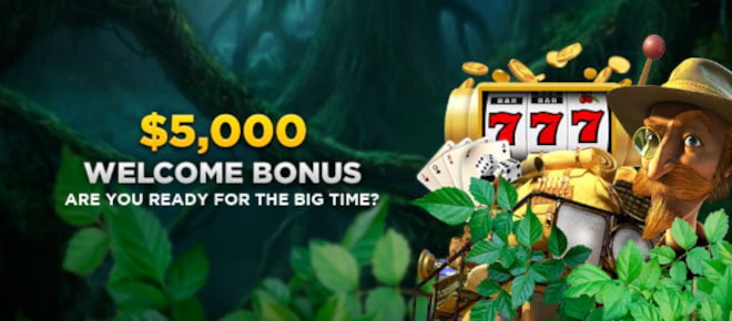 Wild Casino bonus on tarjolla 5 ensitalletukselle.