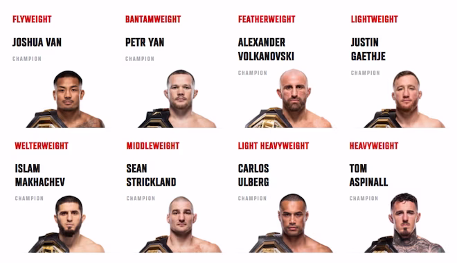 UFC miesten painoluokat.